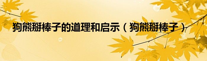 狗熊掰棒子的道理和启示（狗熊掰棒子）