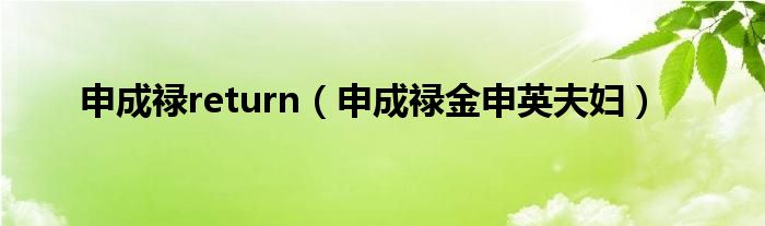 申成禄return（申成禄金申英夫妇）