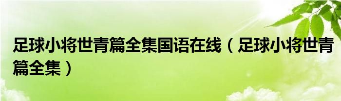 足球小将世青篇全集国语在线（足球小将世青篇全集）