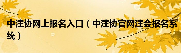 中注协网上报名入口（中注协官网注会报名系统）