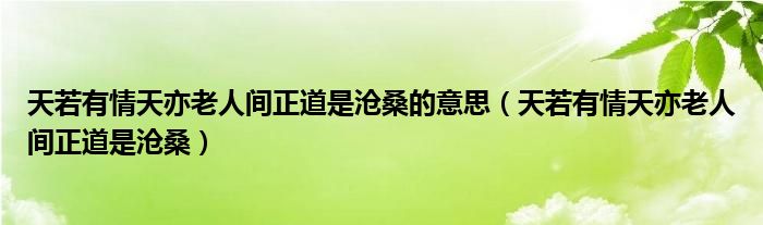 天若有情天亦老人间正道是沧桑的意思（天若有情天亦老人间正道是沧桑）