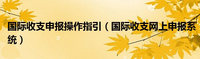 国际收支申报操作指引（国际收支网上申报系统）