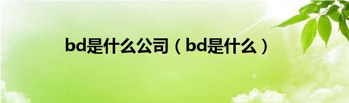 bd是什么公司（bd是什么）