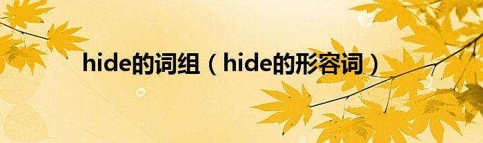 hide的词组（hide的形容词）