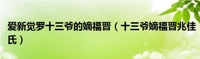 爱新觉罗十三爷的嫡福晋（十三爷嫡福晋兆佳氏）