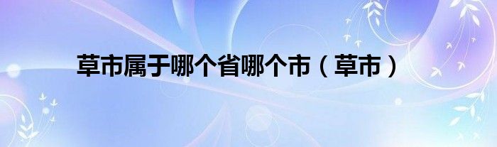 草市属于哪个省哪个市（草市）