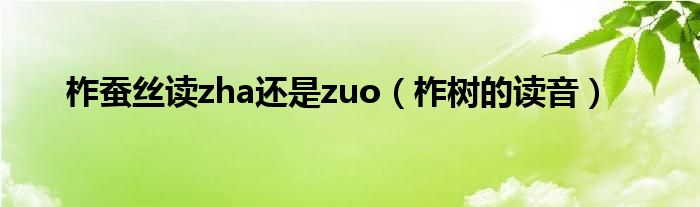 柞蚕丝读zha还是zuo（柞树的读音）