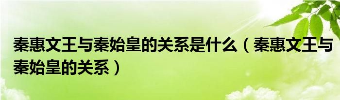 秦惠文王与秦始皇的关系是什么（秦惠文王与秦始皇的关系）