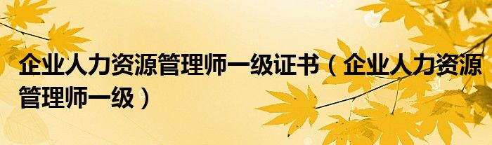 企业人力资源管理师一级证书（企业人力资源管理师一级）