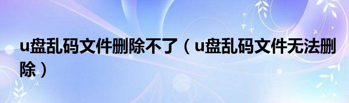 u盘乱码文件删除不了（u盘乱码文件无法删除）