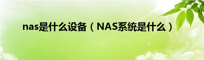 nas是什么设备（NAS系统是什么）