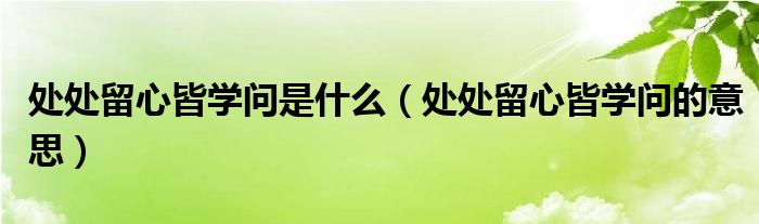 处处留心皆学问是什么（处处留心皆学问的意思）