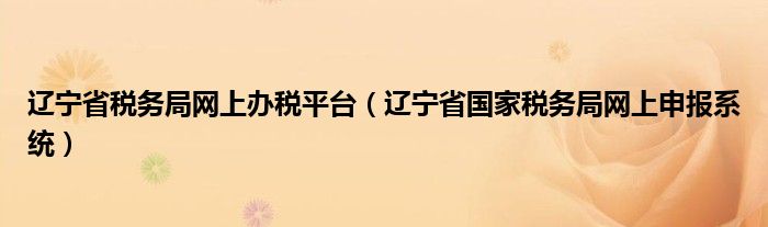 辽宁省税务局网上办税平台（辽宁省国家税务局网上申报系统）