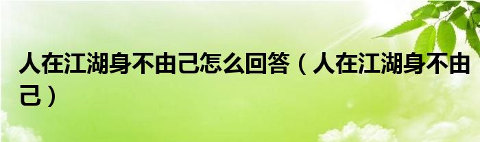 人在江湖身不由己怎么回答（人在江湖身不由己）