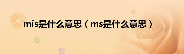 mis是什么意思（ms是什么意思）