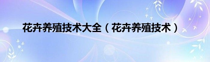 花卉养殖技术大全（花卉养殖技术）