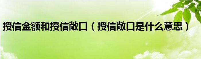 授信金额和授信敞口（授信敞口是什么意思）