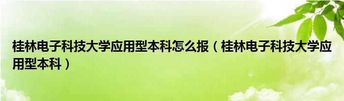 桂林电子科技大学应用型本科怎么报（桂林电子科技大学应用型本科）