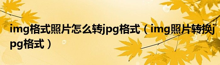 img格式照片怎么转jpg格式（img照片转换jpg格式）