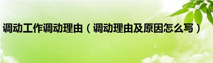 调动工作调动理由（调动理由及原因怎么写）