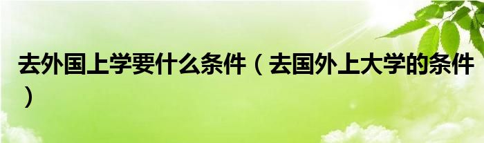 去外国上学要什么条件（去国外上大学的条件）