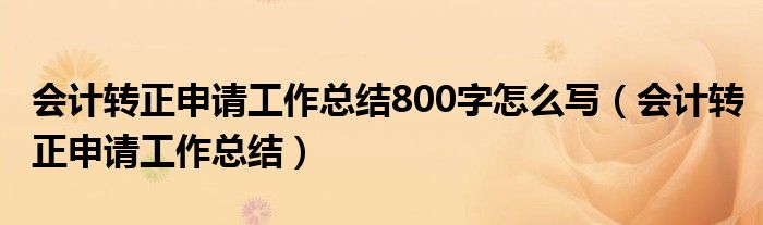 会计转正申请工作总结800字怎么写（会计转正申请工作总结）