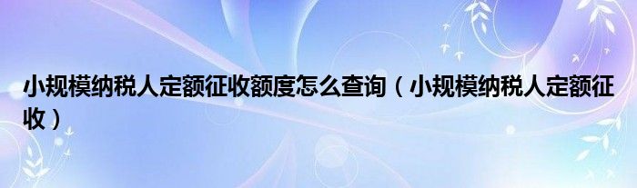 小规模纳税人定额征收额度怎么查询（小规模纳税人定额征收）