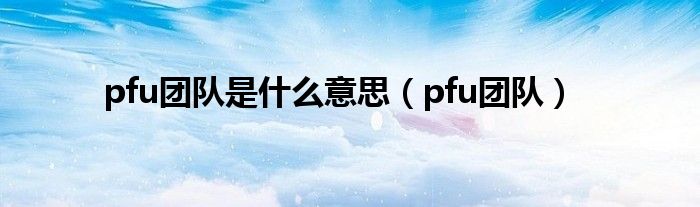 pfu团队是什么意思（pfu团队）