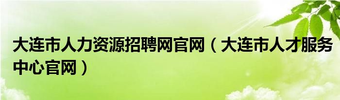 大连市人力资源招聘网官网（大连市人才服务中心官网）