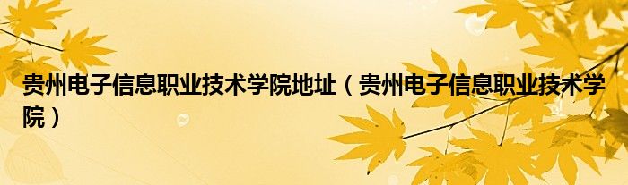 贵州电子信息职业技术学院地址（贵州电子信息职业技术学院）