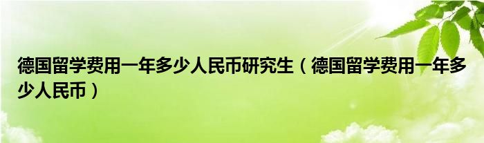 德国留学费用一年多少人民币研究生（德国留学费用一年多少人民币）