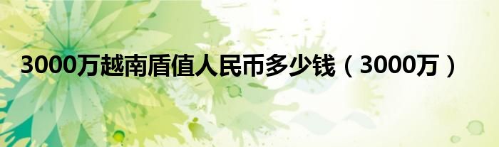 3000万越南盾值人民币多少钱（3000万）