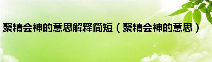 聚精会神的意思解释简短（聚精会神的意思）