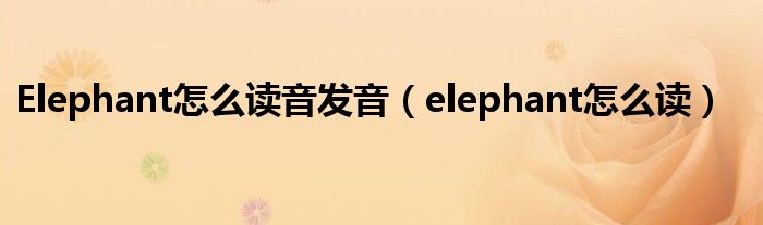 Elephant怎么读音发音（elephant怎么读）