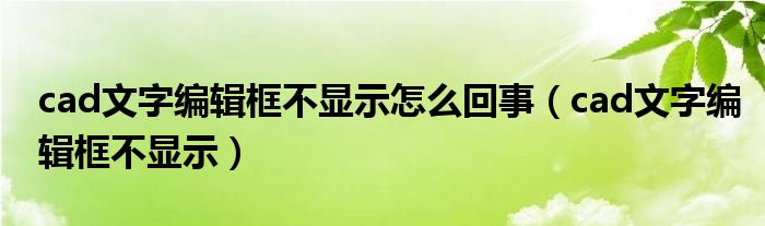 cad文字编辑框不显示怎么回事（cad文字编辑框不显示）