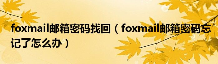 foxmail邮箱密码找回（foxmail邮箱密码忘记了怎么办）