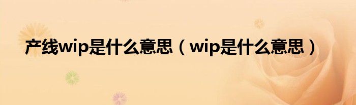 产线wip是什么意思（wip是什么意思）