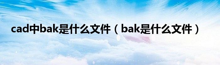 cad中bak是什么文件（bak是什么文件）