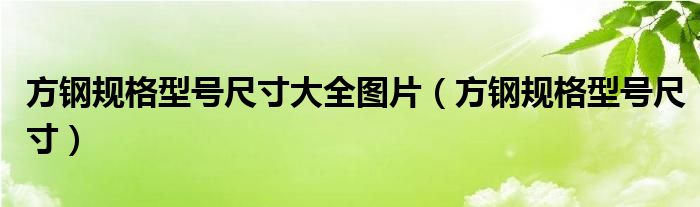 方钢规格型号尺寸大全图片（方钢规格型号尺寸）