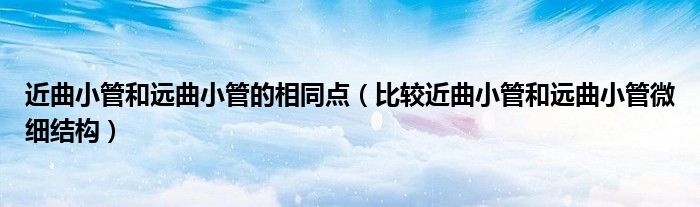 近曲小管和远曲小管的相同点（比较近曲小管和远曲小管微细结构）