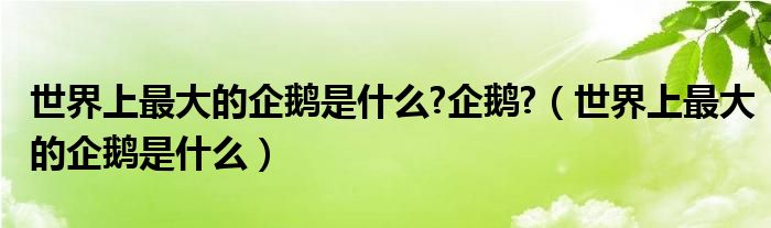 世界上最大的企鹅是什么?企鹅?（世界上最大的企鹅是什么）