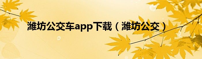 潍坊公交车app下载（潍坊公交）