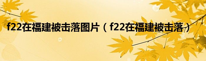 f22在福建被击落图片（f22在福建被击落）