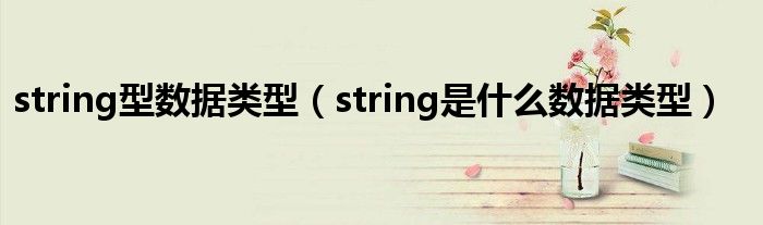 string型数据类型（string是什么数据类型）