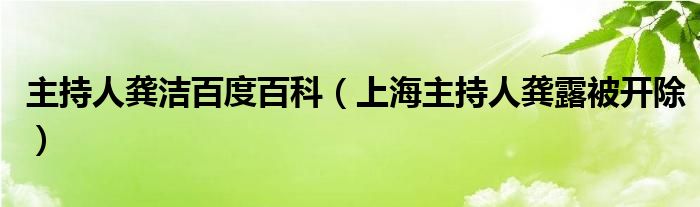 主持人龚洁百度百科（上海主持人龚露被开除）