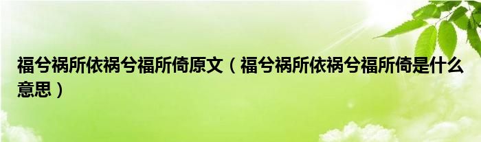 福兮祸所依祸兮福所倚原文（福兮祸所依祸兮福所倚是什么意思）