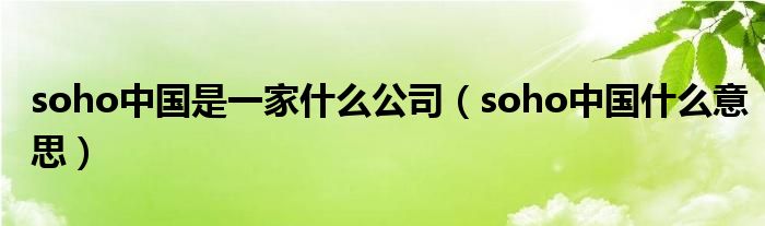 soho中国是一家什么公司（soho中国什么意思）