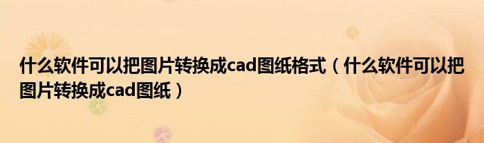 什么软件可以把图片转换成cad图纸格式（什么软件可以把图片转换成cad图纸）