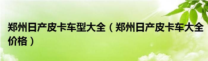 郑州日产皮卡车型大全（郑州日产皮卡车大全价格）