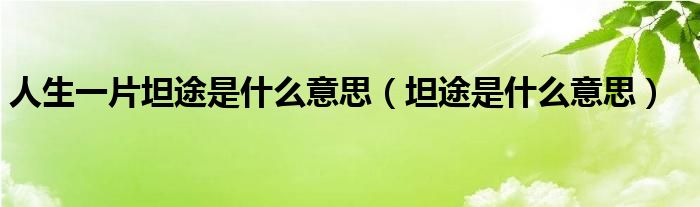 人生一片坦途是什么意思（坦途是什么意思）